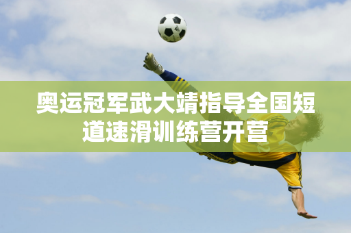 力球员的缺