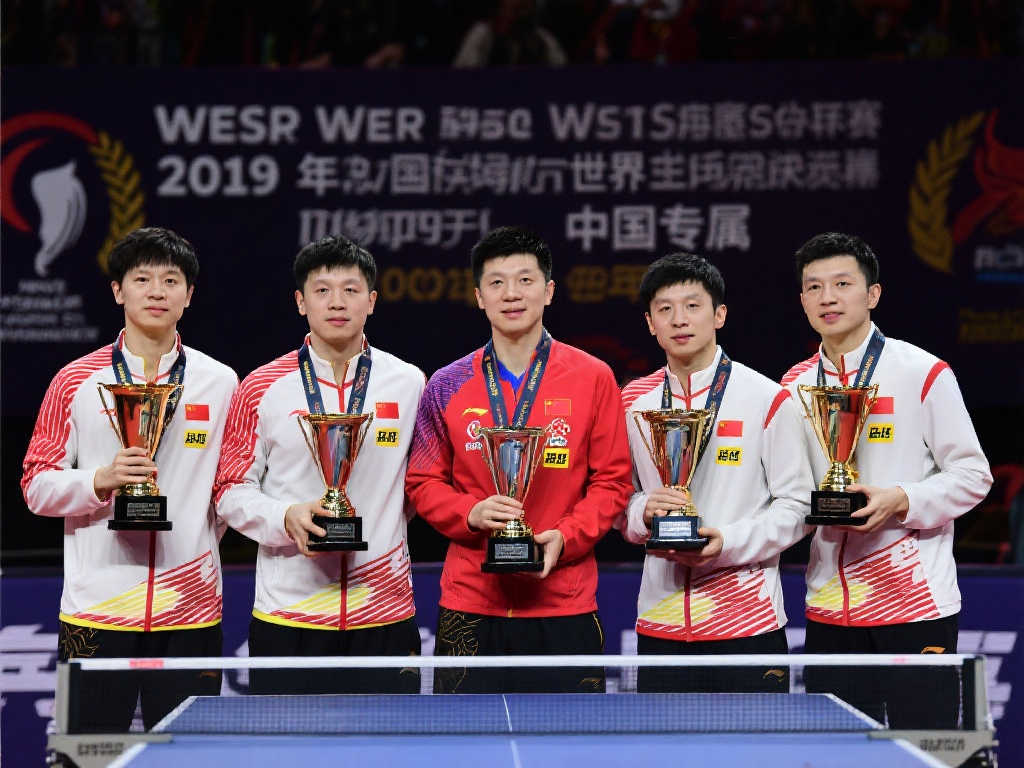 的积极轨道 的积极轨道