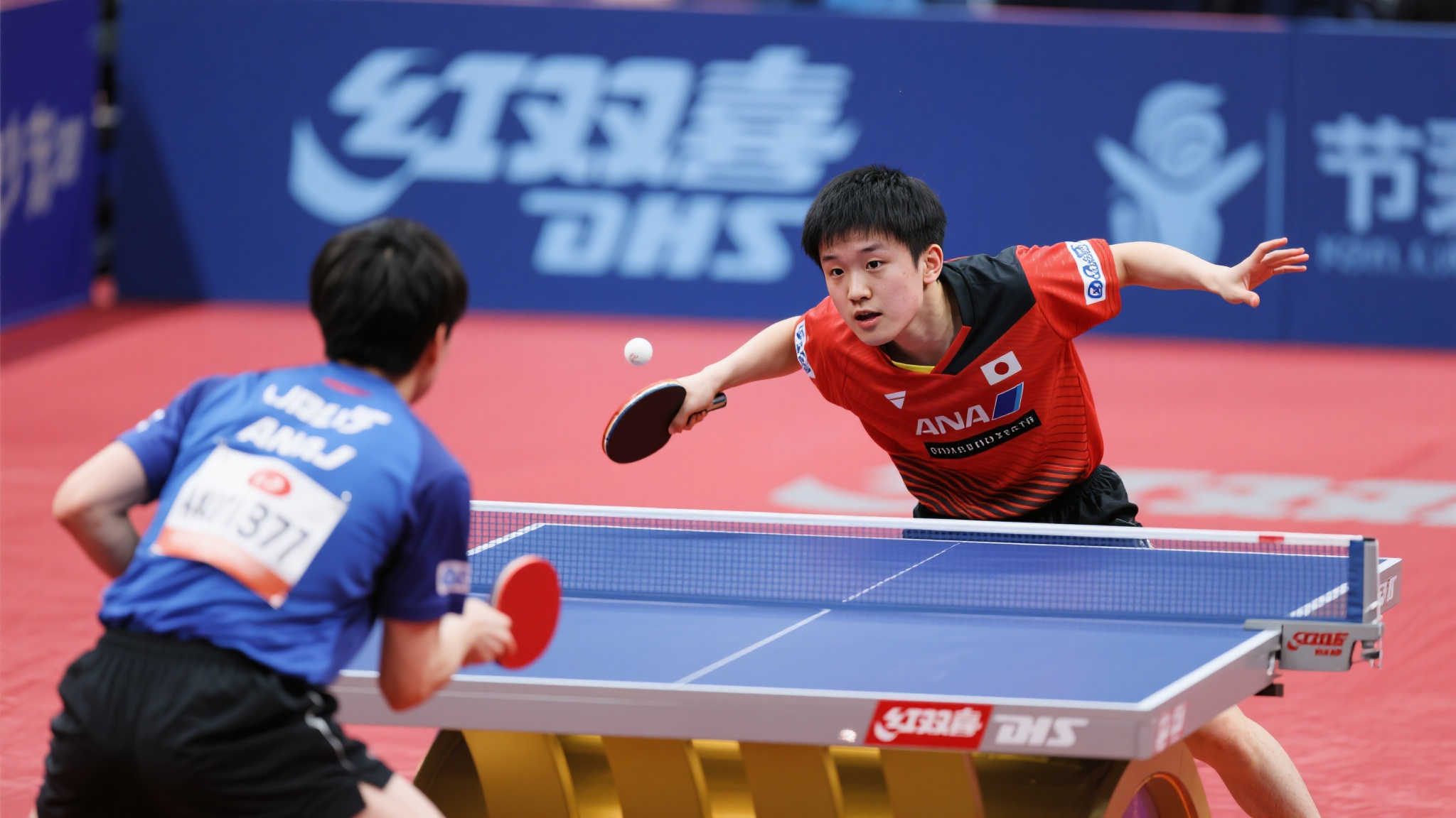 踝关节等部 踝关节等部